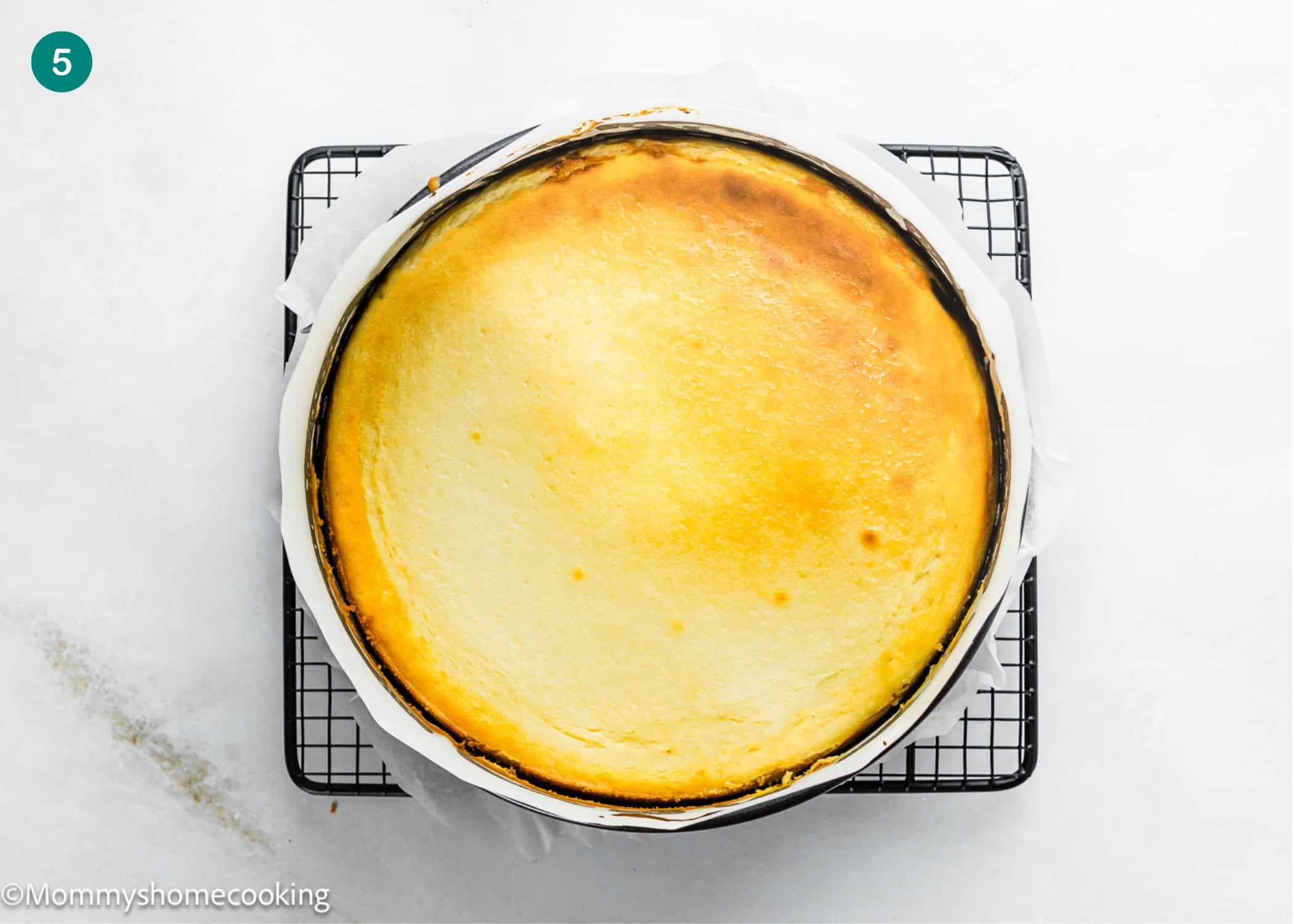 An Eggless Turtle Cheesecake in a round pan lined with parchment paper cools on a wire rack against a white background.