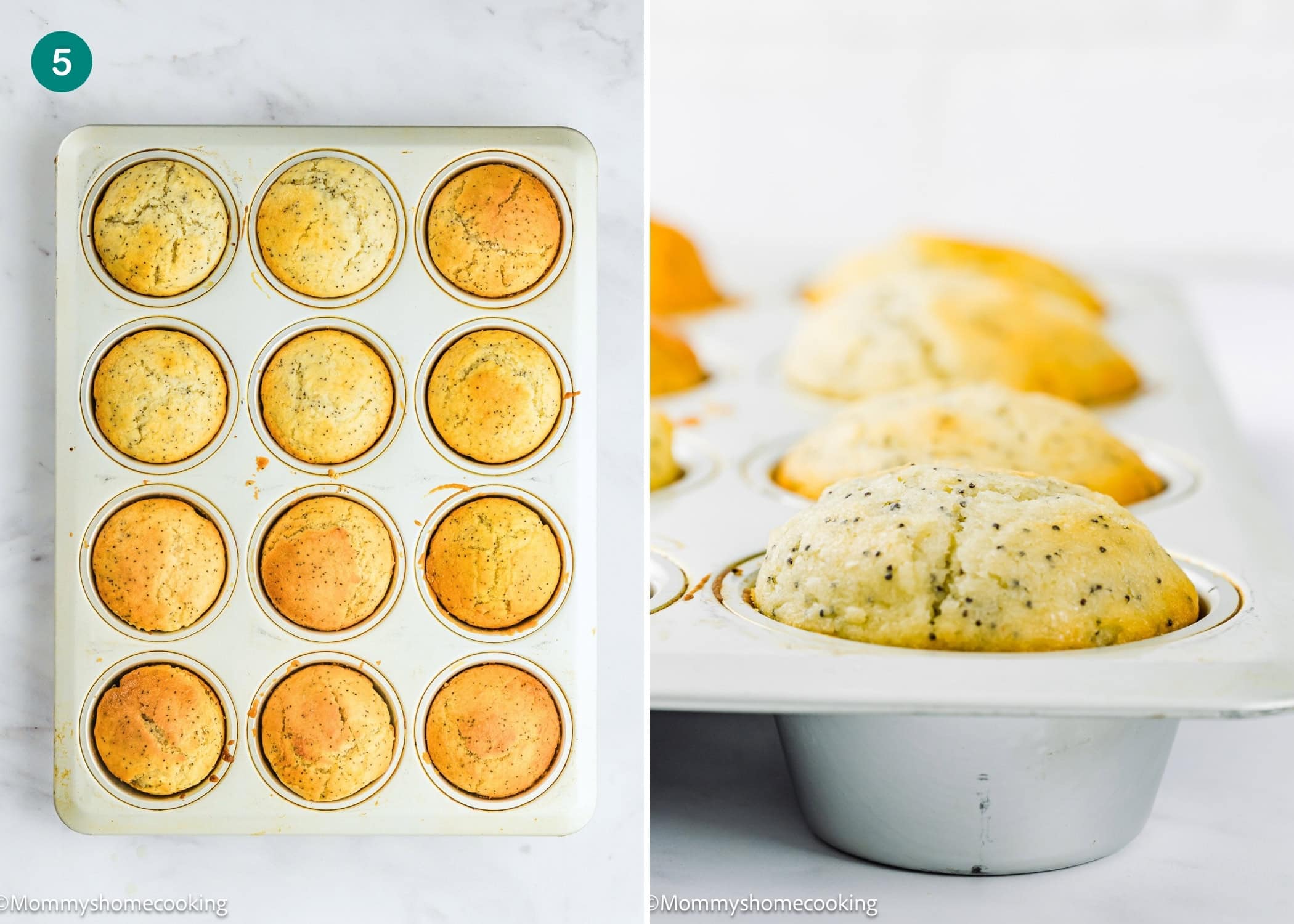 A tray of twelve Egg-Free Lemon Poppy Seed Muffins is shown from above on the left, with a close-up side view of the muffins in the tin on the right.