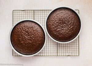 Two Ultra-Fudgy Eggless Chocolate Layer Cakes (Matilda Inspired) in baking pans are cooling on a wire rack placed on a light-colored surface.