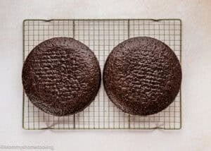 Two Ultra-Fudgy Eggless Chocolate Layer Cakes (Matilda Inspired) cooling on a wire rack, set atop a light-colored surface.