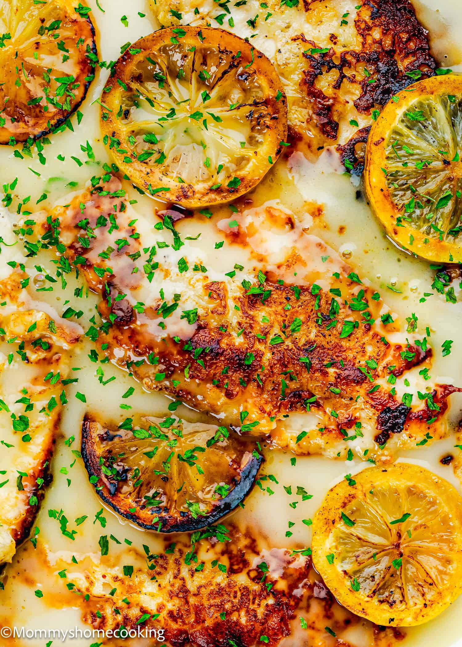 Eggless Chicken Francese fillets pan-seared and topped with lemon slices, sprinkled with chopped parsley, and served in a creamy sauce.