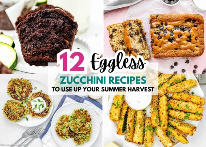 Collage of eggless zucchini recipes, including chocolate bread, chocolate chip bread, fritters, and breaded zucchini sticks, with text overlay: "The Best Eggless Zucchini Recipes to Use Up Your Summer Harvest (Sweet and Savory) – 12 delicious ways to enjoy your garden bounty.