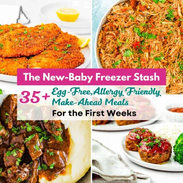 Collage of four dishes with a text overlay promoting The New-Baby Freezer Stash: Egg-Free, Make-Ahead Meals for the First Weeks, showcasing allergy-friendly freezer meals for new parents, featuring chicken, beef, and vegetables.
